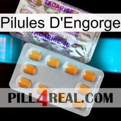 Engorge Pills new12